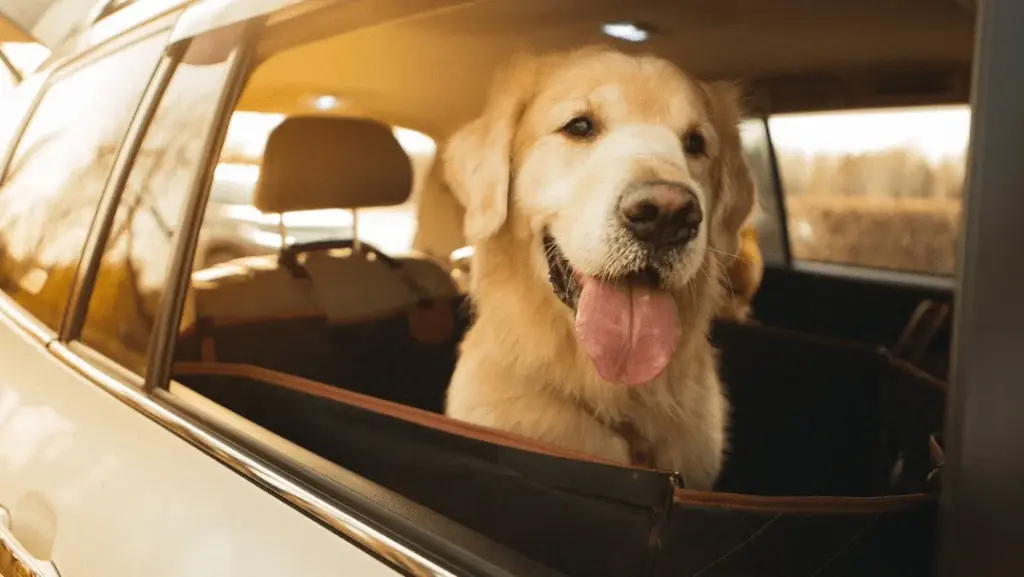 Dog Car Seat Cover for Back Seat