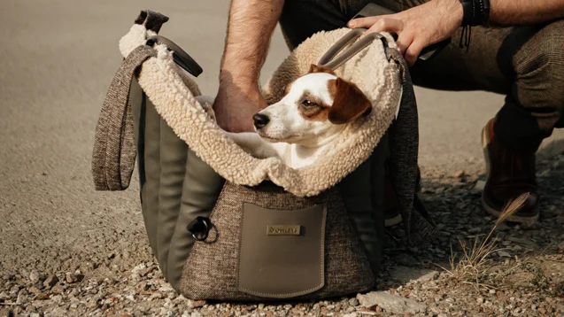 Pet Carrier for Small Dogs